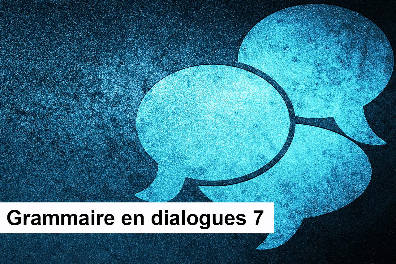 222 - F - Grammaire en Dialogues.jpg
